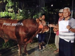 Eri Sumbang Sapi Kurban untuk Golkar Surabaya dengan Semangat Gotong Royong