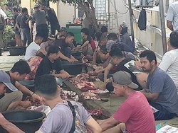 PDHI Sumsel Temukan Hewan Kurban Tak Penuhi Syarat-Penyakit Cacing Hati