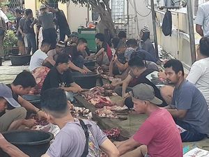 PDHI Sumsel Temukan Hewan Kurban Tak Penuhi Syarat-Penyakit Cacing Hati PDHI Sumsel Temukan Hewan Kurban Tak Penuhi Syarat-Penyakit Cacing Hati