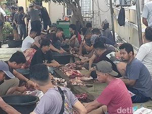 Belasan Hewan Kurban di Sumsel Tak Penuhi Syarat Umur tapi Tetap Disembelih
