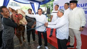 Tebar Ratusan Ekor Hewan Kurban se-Indonesia