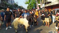 Melihat Tradisi Arak-arakan Hewan Kurban di Kota Malang