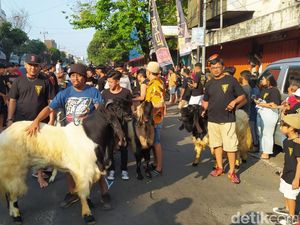 Melihat Tradisi Arak-arakan Hewan Kurban di Kota Malang Melihat Tradisi Arak-arakan Hewan Kurban di Kota Malang