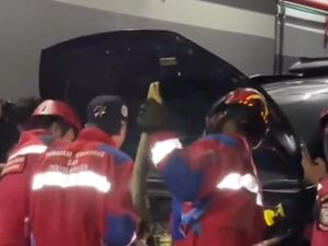 Ular Piton Masuk Kap Mesin Mobil Pengunjung Mal di Makassar, Damkar Evakuasi