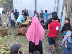 Via Vallen Kurban 4 Sapi dan 9 Kambing di Sidoarjo