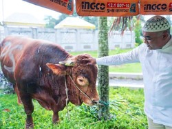 Prabowo Berikan Hewan Kurban ke Masjid Raya Medan, Diserahkan Waket DPRD