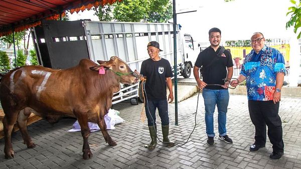 Berbagi Kebahagiaan Lewat Berkurban di Momen Idul Adha