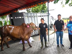 Berbagi Kebahagiaan Lewat Berkurban di Momen Idul Adha