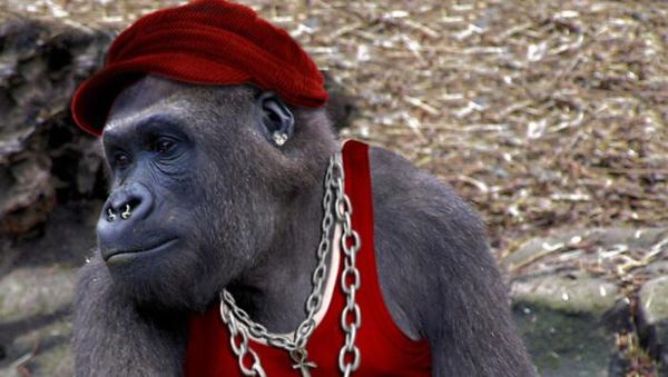 Gambaran Hewan Berperilaku dan Berpakaian Manusia, Aneh atau Lucu?