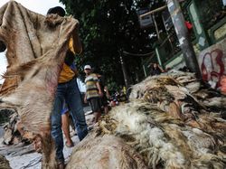 Idul Adha 2025 Berapa Hari Lagi?