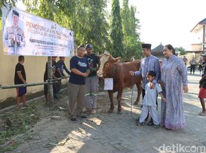 Polisi Bojonegoro Bagikan 18 Sapi-21 Kambing Kurban ke Ponpes hingga Masjid