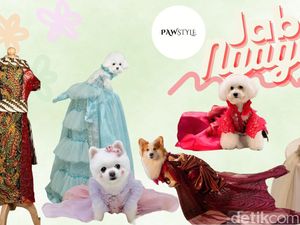 Saat Anjing Peliharaan Berbalut Gaun Mewah yang Menawan Saat Anjing Peliharaan Berbalut Gaun Mewah yang Menawan