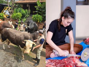 Keren! 5 Artis Ini Beli Hewan Kurban Sapi dan Kambing Lebih dari Satu Keren! 5 Artis Ini Beli Hewan Kurban Sapi dan Kambing Lebih dari Satu