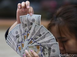 KPK Sita 4 Mobil-USD 1,6 Juta di Kasus Korupsi Kuota Haji, Milik Siapa?