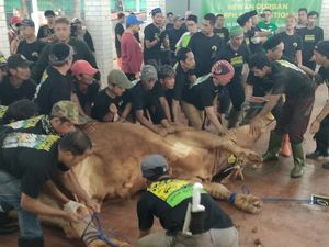 Masjid Istiqlal Mulai Potong Hewan Kurban, Sapi Milik Jokowi Pertama