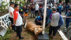 Semangat Berkurban untuk Berbagi Sesama