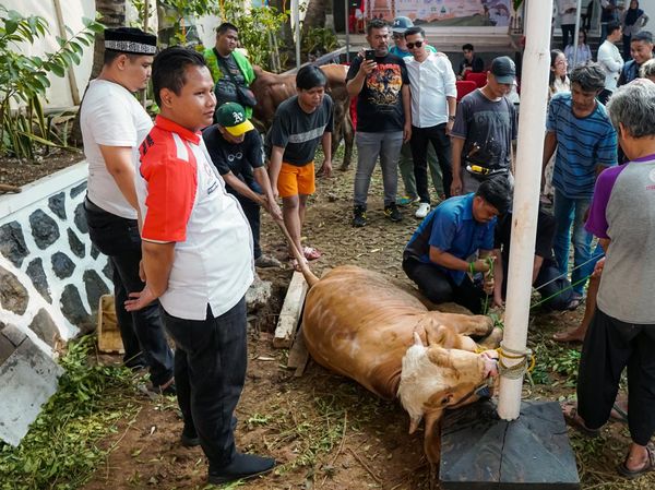 Semangat Berkurban untuk Berbagi Sesama
