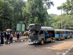 Libur Idul Adha, Taman Margasatwa Ragunan Ramai Dikunjungi Warga