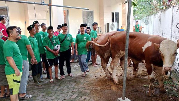 Berbagi Daging Kurban kepada Warga Cilincing