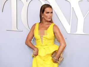Jawaban Menohok Brooke Shields Saat Dikritik Soal Wajahnya di Usia 59 Tahun Jawaban Menohok Brooke Shields Saat Dikritik Soal Wajahnya di Usia 59 Tahun