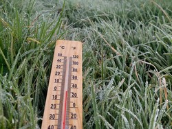 Penampakan Fenomena Embun Es Bikin Dieng Membeku Pagi Ini