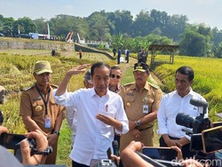 Cek Pompanisasi Karanganyar, Jokowi Ingin Tekan Impor Lewat Panen Maksimal