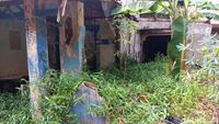 Penampakan Kampung Zombie di Tengah Jakarta