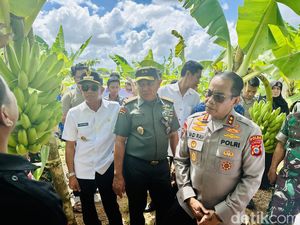 Kapolda-Pangdam Tinjau Budidaya Pisang Cavendish Produk Unggulan di Bone Kapolda-Pangdam Tinjau Budidaya Pisang Cavendish Produk Unggulan di Bone