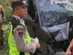 Mobil Pikap Ringsek Hantam Pohon di Sirampog Brebes, Belasan Orang Terluka