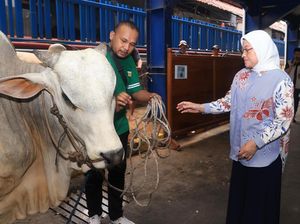 Sebut Idul Adha Bukan Sekadar Perayaan, Menaker: Bentuk Empati-Solidaritas