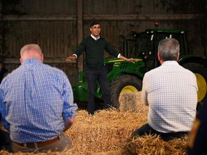 Momen Rishi Sunak Berkampanye di Pertanian