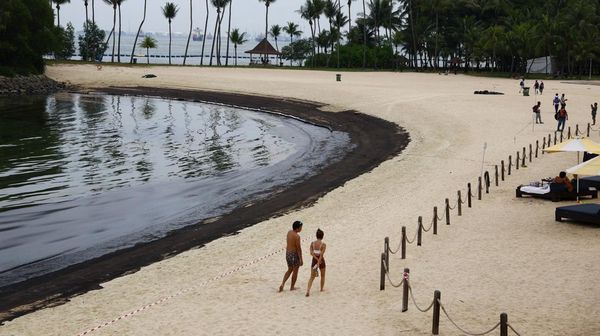 Pantai Sentosa Singapura Ditutup gegara Tumpahan Minyak, Begini Kondisinya