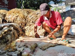 Kulit Hewan Kurban Dijual, Apa Hukumnya dalam Islam?