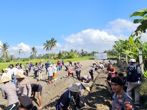 Polda Bali Tanam Sorgum di Lahan Tak Produktif Polda Bali Tanam Sorgum di Lahan Tak Produktif