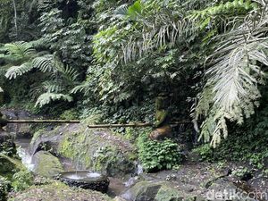 Melukat di Desa Taro Sekaligus Kuliner dengan Nuansa Khas Bali Melukat di Desa Taro Sekaligus Kuliner dengan Nuansa Khas Bali