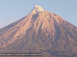 Gunung Semeru Erupsi Lagi, Luncurkan Abu Vulkanik Setinggi 600 Meter