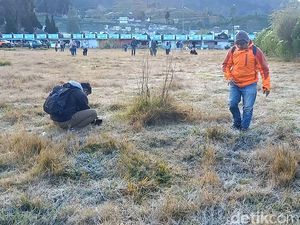 Berburu Embun Es, Wisatawan Berbondong-bondong ke Dieng Berburu Embun Es, Wisatawan Berbondong-bondong ke Dieng