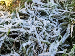 Penampakan Embun Es di Dieng Pagi Ini