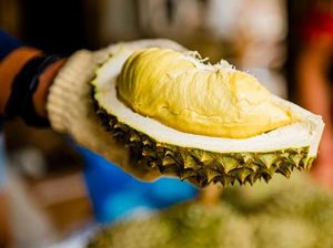 Kue Tradisional Bernama Vulgar hingga Harga Durian Musang King Anjlok