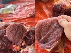 Heboh Video Daging Kurban Bergerak Setelah Dipotong, Kok Bisa? Heboh Video Daging Kurban Bergerak Setelah Dipotong, Kok Bisa?