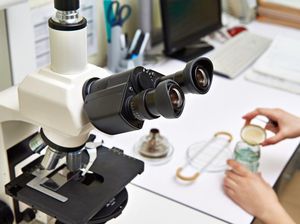 Impor Barang untuk Penelitian Bebas Bea Masuk & Cukai, Begini Prosedurnya