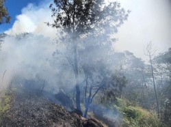 Savana Bukit Widodaren Gunung Bromo Terbakar