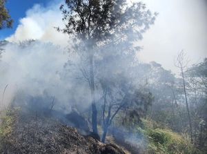 Savana Bukit Widodaren Gunung Bromo Terbakar Savana Bukit Widodaren Gunung Bromo Terbakar