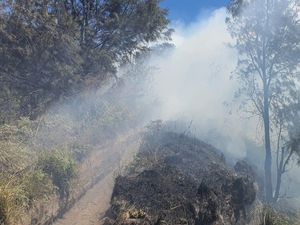 TNBTS Ungkap Kronologi Kebakaran Savana Gunung Bromo TNBTS Ungkap Kronologi Kebakaran Savana Gunung Bromo