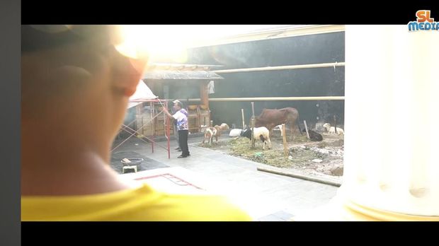 Keluarga Sule Rayakan Idul Adha