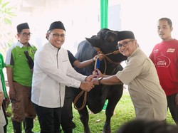 Pegadaian Sebar 822 Ekor Hewan ke Sejumlah Wilayah di Momen Idul Adha 2024
