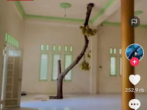 Viral Pohon Nangka Tumbuh Dalam Rumah Sampai Tembus Plafon, Netizen Heboh
