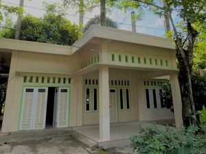 Potret Rumah Pohon Nangka Tembus Plafon yang Videonya Viral Potret Rumah Pohon Nangka Tembus Plafon yang Videonya Viral