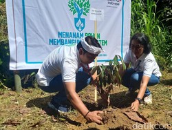 Telkom Serahkan 10 Ribu Bibit Pohon untuk Dua Desa di Buleleng