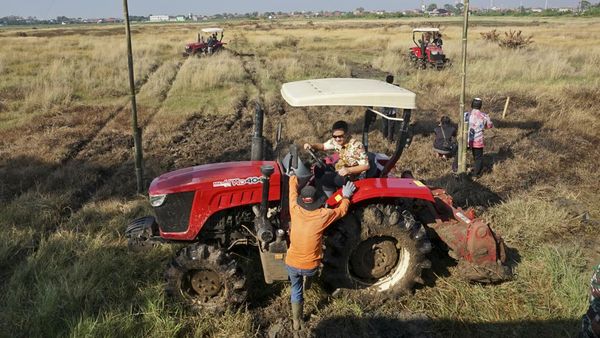 Sempat Terendam Air Rob, Lahan Pertanian di Pekalongan Ini Aktif Lagi